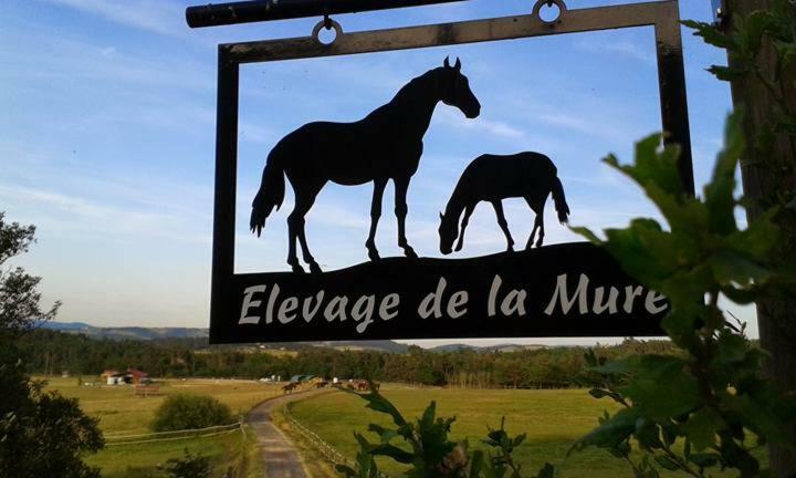 De L'elevage De La Mure Holiday home *